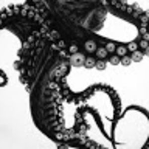 Meet your Posher, Amelia